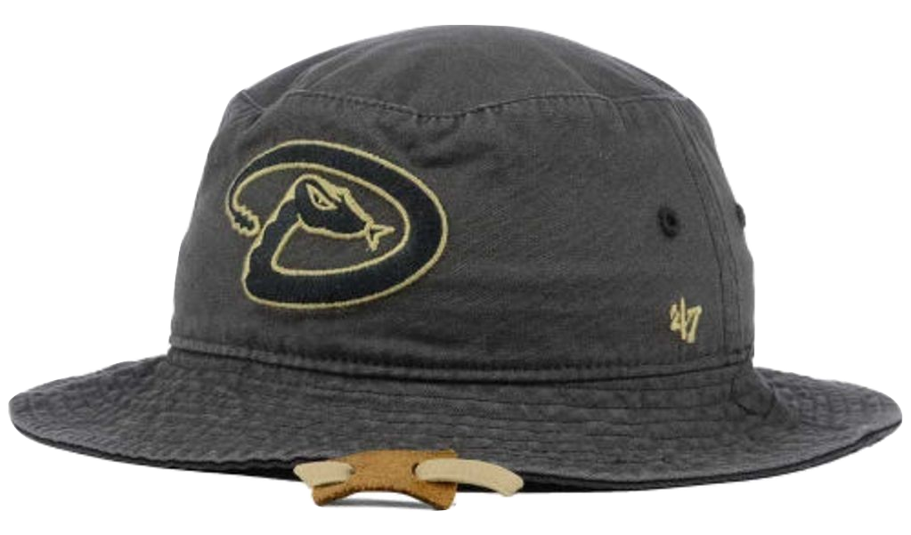 Arizona Diamondbacks '47 "MLB Fever Dog Bucket"